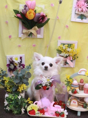 02230302ルルちゃん